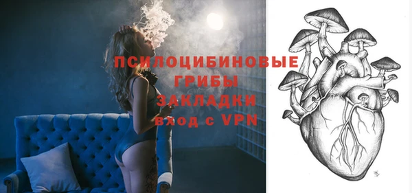 гашик Покачи