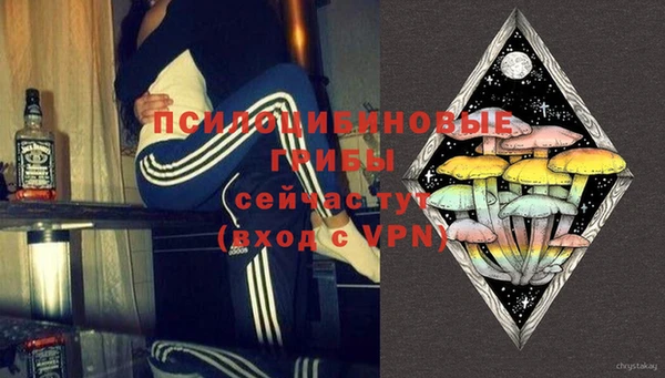 гашик Покачи