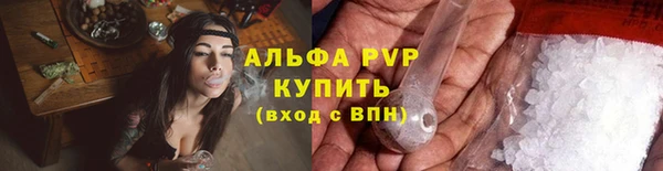 индика Протвино