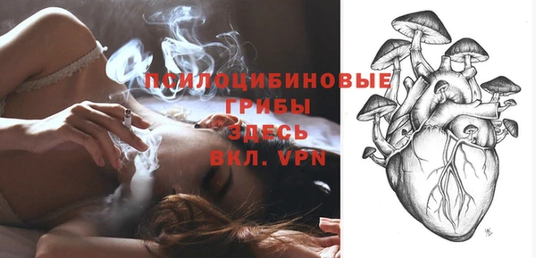 гашик Покачи